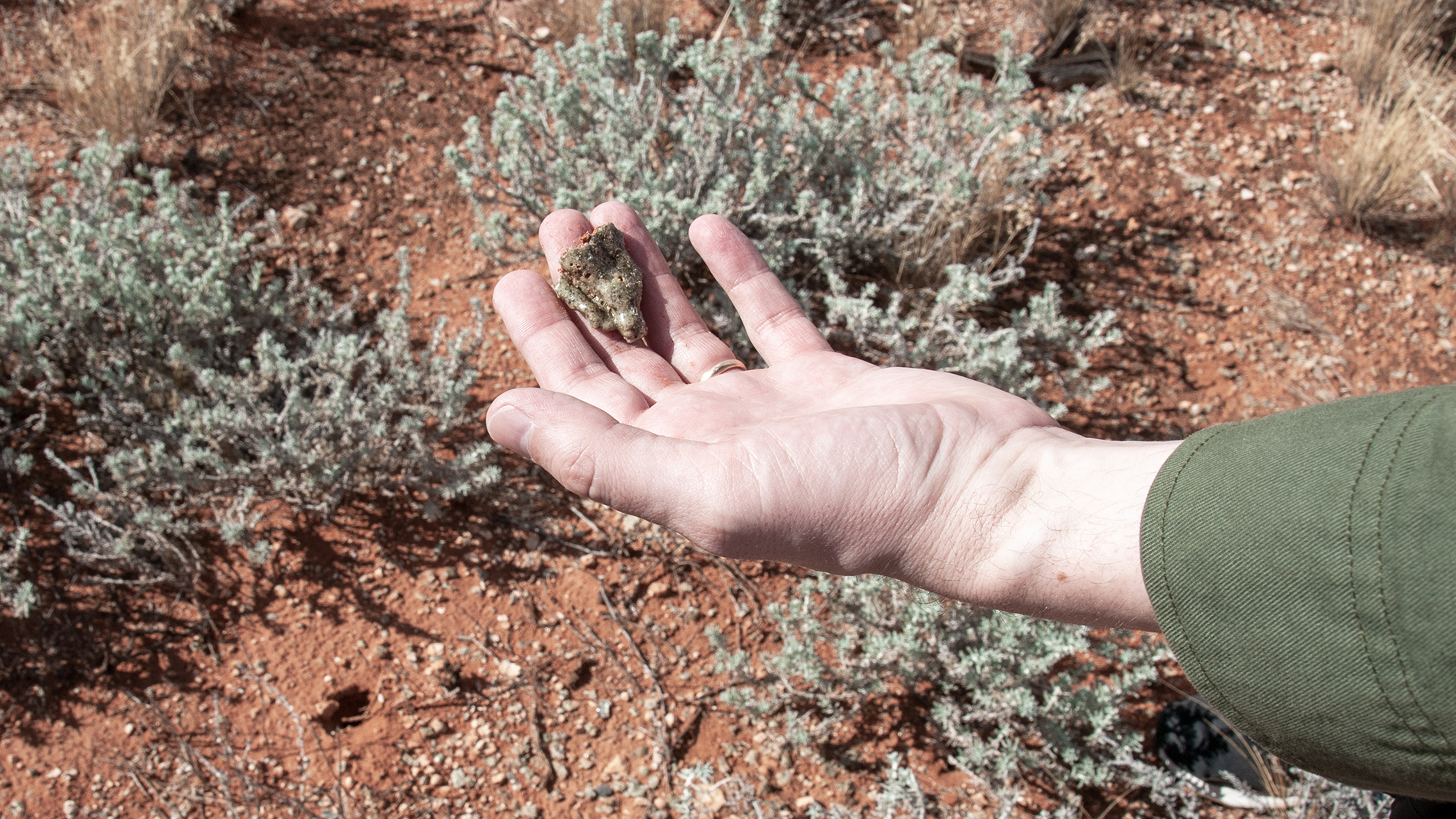 'Maralingite', David Burns (2018-19)